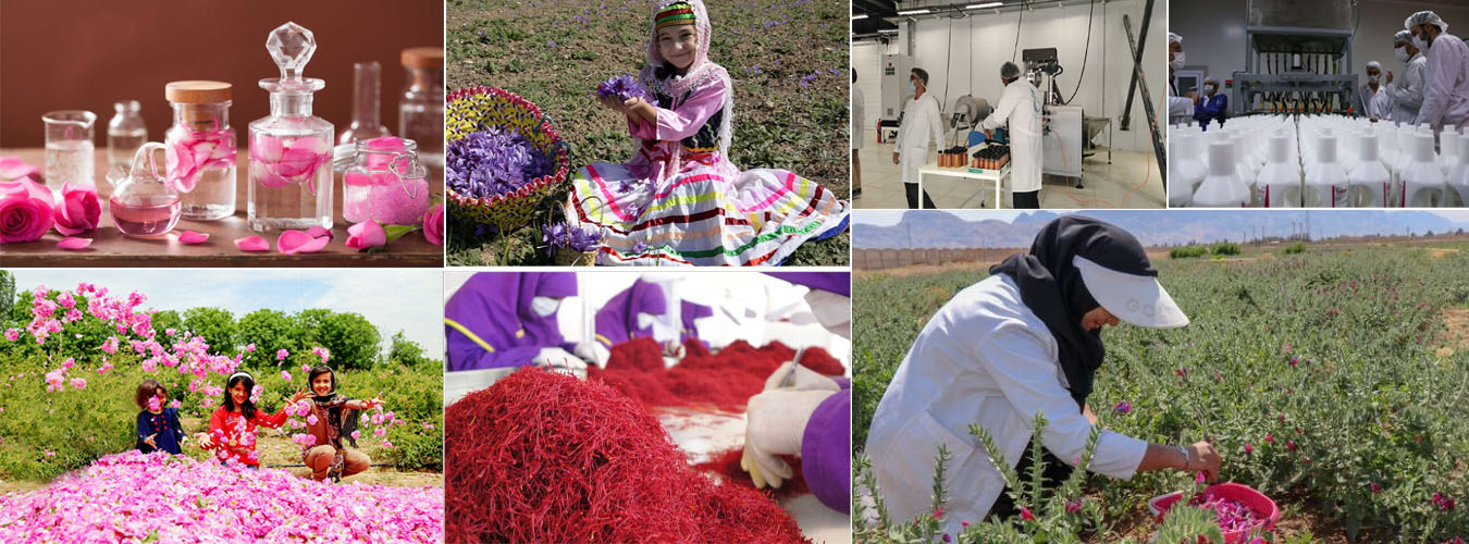 International Marketing of Medicinal Plants